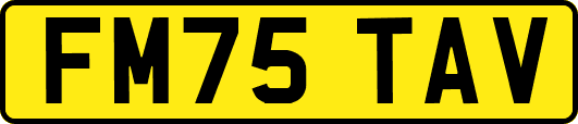 FM75TAV