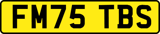 FM75TBS