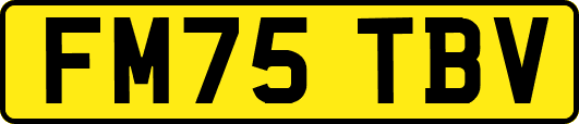 FM75TBV