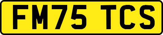 FM75TCS