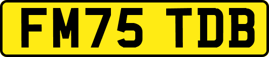 FM75TDB
