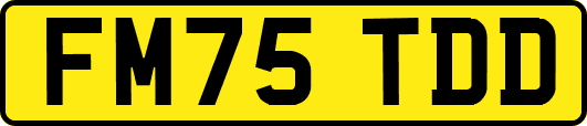 FM75TDD
