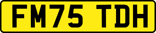 FM75TDH