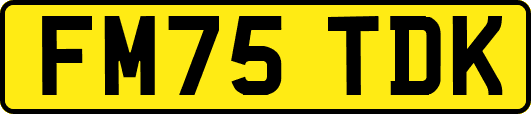 FM75TDK