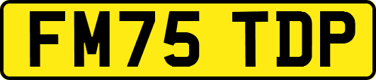 FM75TDP