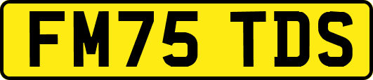 FM75TDS