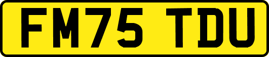 FM75TDU
