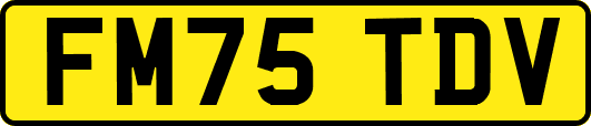 FM75TDV