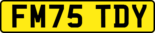 FM75TDY