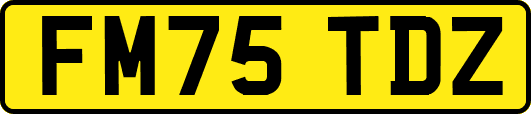 FM75TDZ