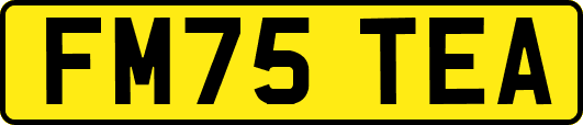 FM75TEA