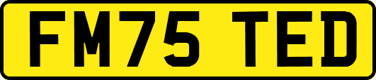 FM75TED