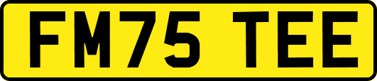FM75TEE