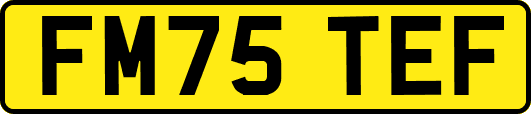 FM75TEF