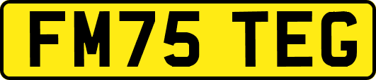 FM75TEG