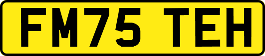 FM75TEH