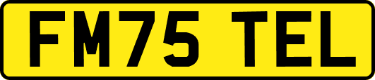 FM75TEL