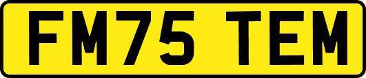 FM75TEM