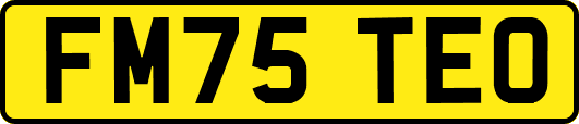 FM75TEO