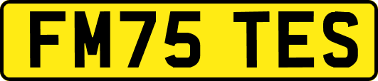 FM75TES