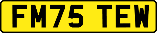 FM75TEW