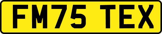 FM75TEX