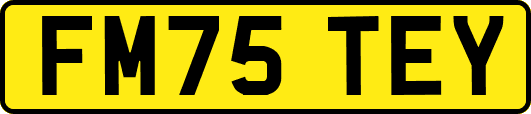 FM75TEY