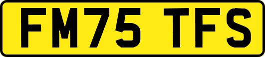 FM75TFS