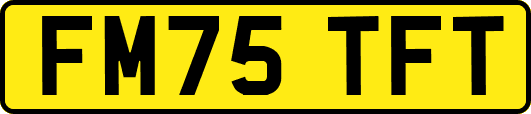 FM75TFT