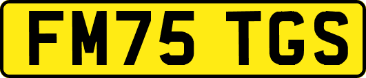 FM75TGS