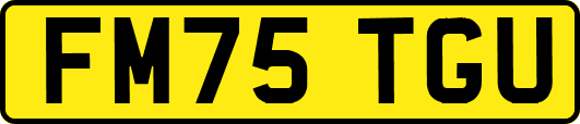 FM75TGU