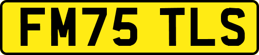 FM75TLS