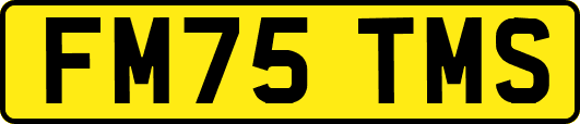 FM75TMS