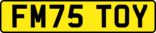 FM75TOY