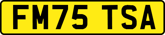 FM75TSA