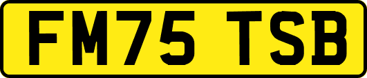 FM75TSB