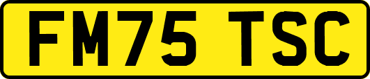FM75TSC