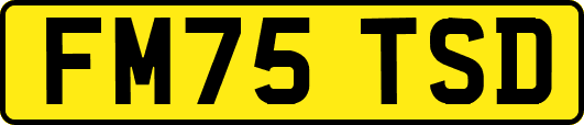 FM75TSD