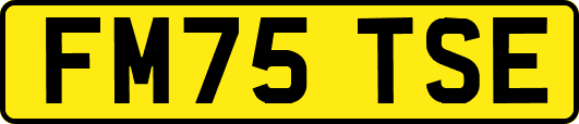 FM75TSE