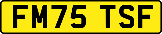 FM75TSF