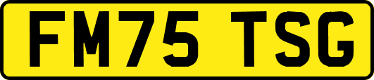 FM75TSG