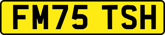 FM75TSH