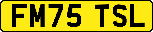 FM75TSL
