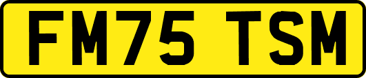 FM75TSM
