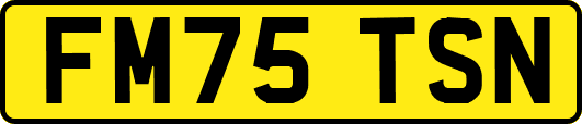 FM75TSN