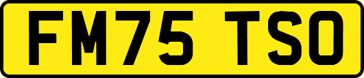 FM75TSO