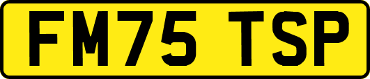 FM75TSP