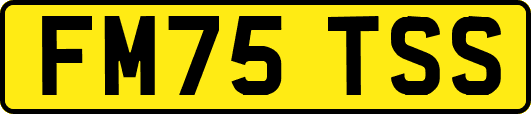 FM75TSS