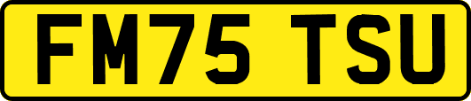 FM75TSU