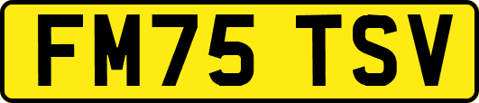 FM75TSV